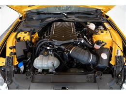 2023 Ford Mustang (CC-2076553) for sale in Ocala, Florida