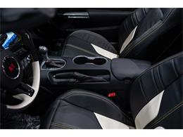 2023 Ford Mustang (CC-2076553) for sale in Ocala, Florida
