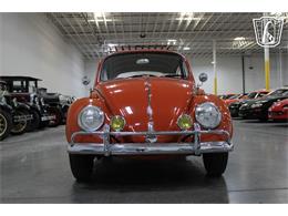 1965 Volkswagen Beetle (CC-2070657) for sale in Las Vegas, Nevada