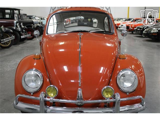 1965 Volkswagen Beetle (CC-2070657) for sale in Las Vegas, Nevada