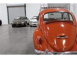 1965 Volkswagen Beetle (CC-2070657) for sale in Las Vegas, Nevada
