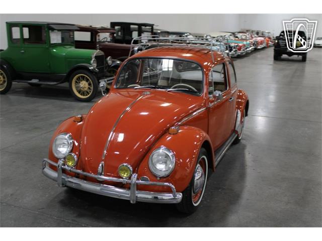 1965 Volkswagen Beetle (CC-2070657) for sale in Las Vegas, Nevada