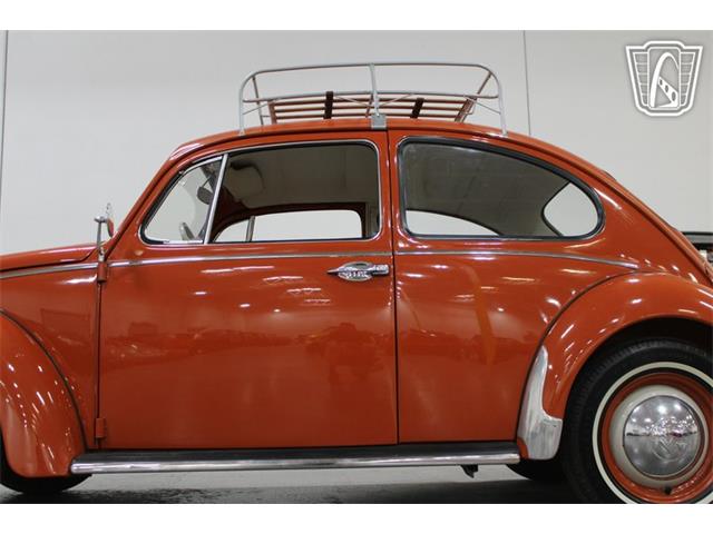 1965 Volkswagen Beetle (CC-2070657) for sale in Las Vegas, Nevada