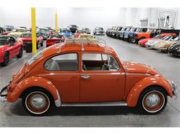 1965 Volkswagen Beetle (CC-2070657) for sale in Las Vegas, Nevada