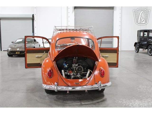 1965 Volkswagen Beetle (CC-2070657) for sale in Las Vegas, Nevada
