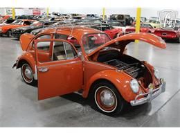 1965 Volkswagen Beetle (CC-2070657) for sale in Las Vegas, Nevada
