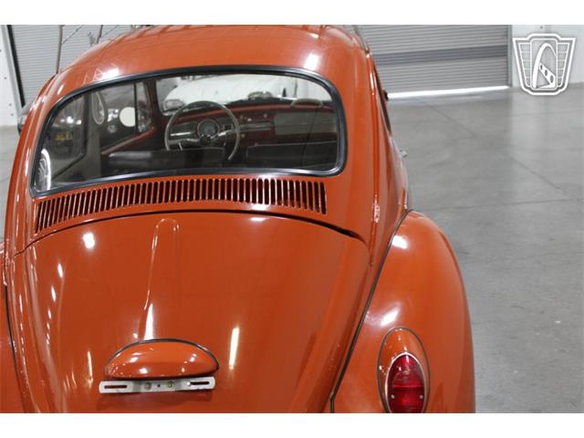 1965 Volkswagen Beetle (CC-2070657) for sale in Las Vegas, Nevada