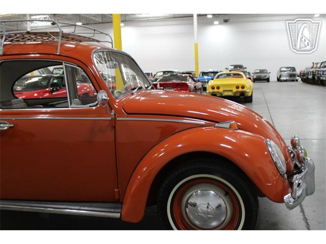 1965 Volkswagen Beetle (CC-2070657) for sale in Las Vegas, Nevada