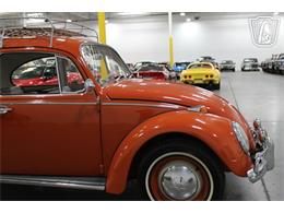 1965 Volkswagen Beetle (CC-2070657) for sale in Las Vegas, Nevada