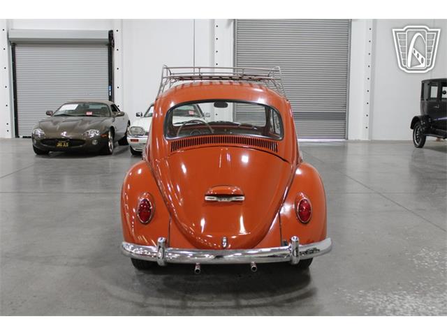 1965 Volkswagen Beetle (CC-2070657) for sale in Las Vegas, Nevada