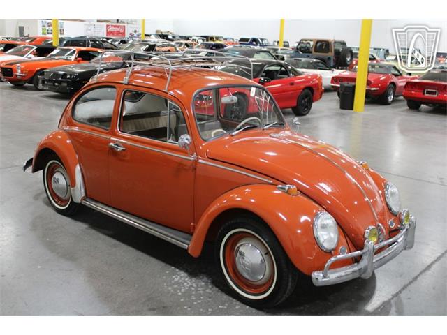 1965 Volkswagen Beetle (CC-2070657) for sale in Las Vegas, Nevada