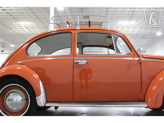 1965 Volkswagen Beetle (CC-2070657) for sale in Las Vegas, Nevada