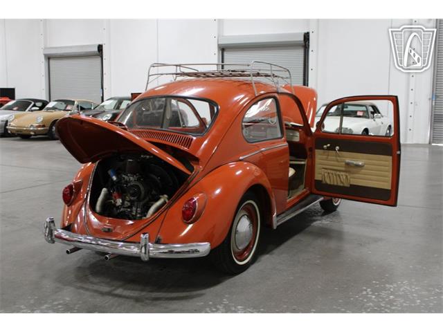 1965 Volkswagen Beetle (CC-2070657) for sale in Las Vegas, Nevada