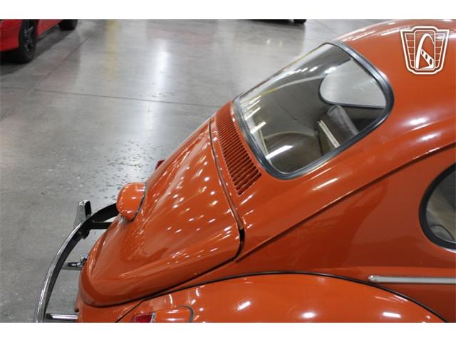 1965 Volkswagen Beetle (CC-2070657) for sale in Las Vegas, Nevada