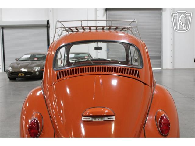 1965 Volkswagen Beetle (CC-2070657) for sale in Las Vegas, Nevada