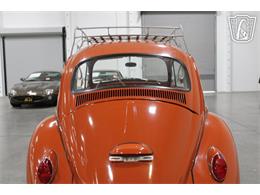 1965 Volkswagen Beetle (CC-2070657) for sale in Las Vegas, Nevada