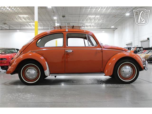 1965 Volkswagen Beetle (CC-2070657) for sale in Las Vegas, Nevada