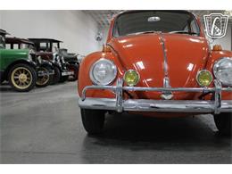 1965 Volkswagen Beetle (CC-2070657) for sale in Las Vegas, Nevada
