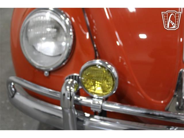 1965 Volkswagen Beetle (CC-2070657) for sale in Las Vegas, Nevada