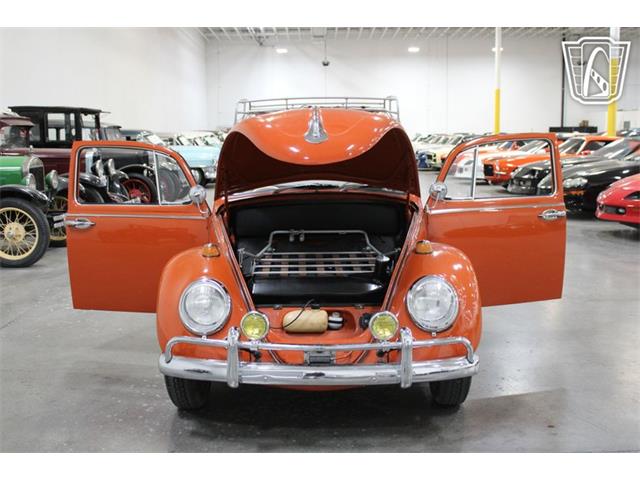 1965 Volkswagen Beetle (CC-2070657) for sale in Las Vegas, Nevada