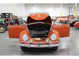 1965 Volkswagen Beetle (CC-2070657) for sale in Las Vegas, Nevada