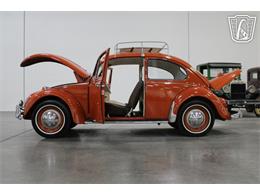 1965 Volkswagen Beetle (CC-2070657) for sale in Las Vegas, Nevada