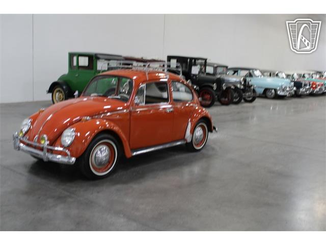 1965 Volkswagen Beetle (CC-2070657) for sale in Las Vegas, Nevada