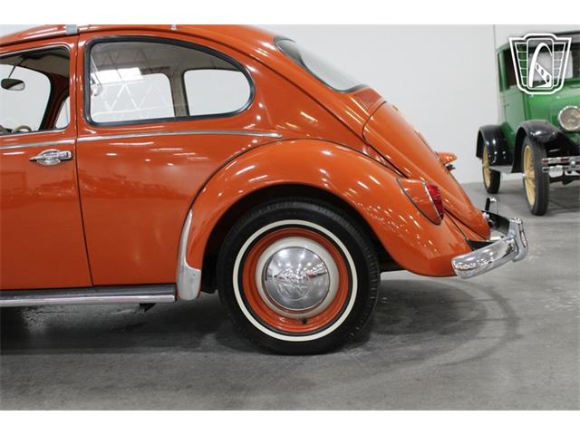 1965 Volkswagen Beetle (CC-2070657) for sale in Las Vegas, Nevada