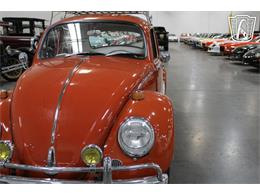 1965 Volkswagen Beetle (CC-2070657) for sale in Las Vegas, Nevada