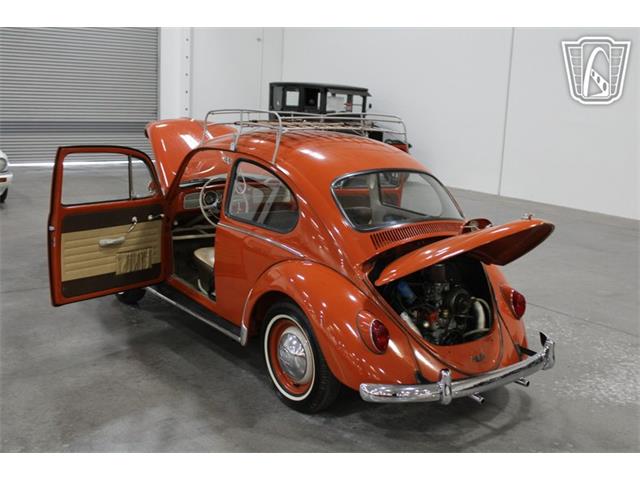 1965 Volkswagen Beetle (CC-2070657) for sale in Las Vegas, Nevada