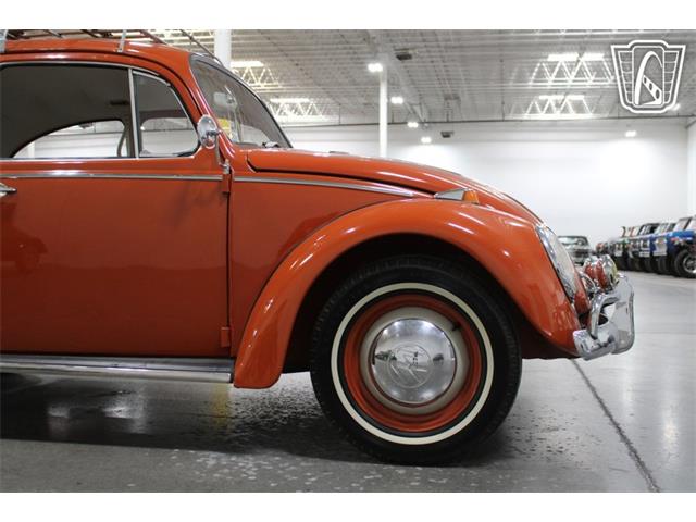 1965 Volkswagen Beetle (CC-2070657) for sale in Las Vegas, Nevada