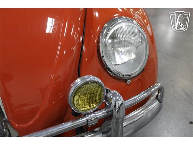 1965 Volkswagen Beetle (CC-2070657) for sale in Las Vegas, Nevada