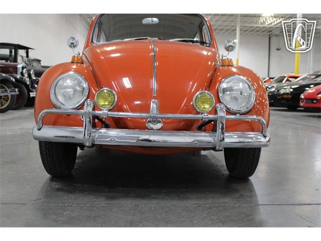 1965 Volkswagen Beetle (CC-2070657) for sale in Las Vegas, Nevada