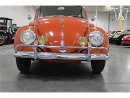 1965 Volkswagen Beetle (CC-2070657) for sale in Las Vegas, Nevada
