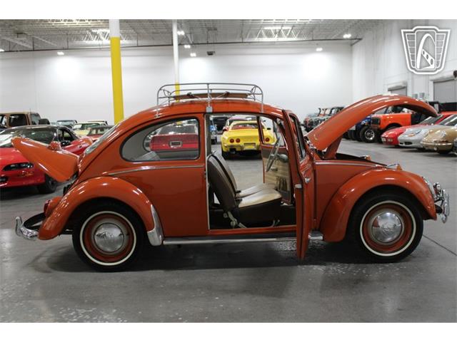 1965 Volkswagen Beetle (CC-2070657) for sale in Las Vegas, Nevada