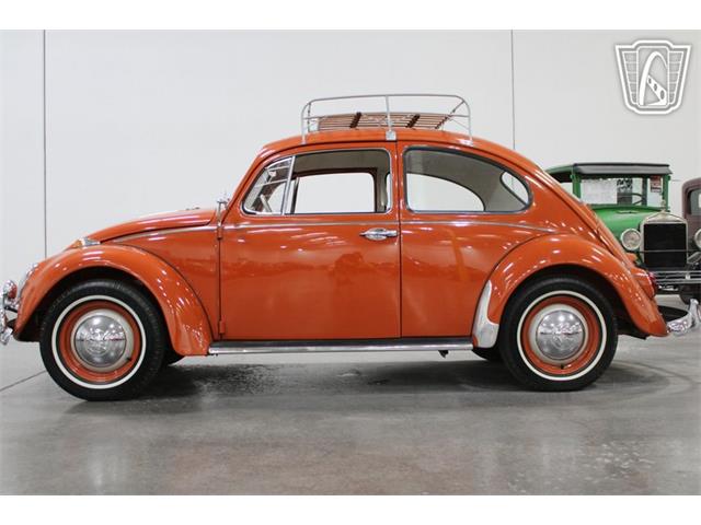 1965 Volkswagen Beetle (CC-2070657) for sale in Las Vegas, Nevada