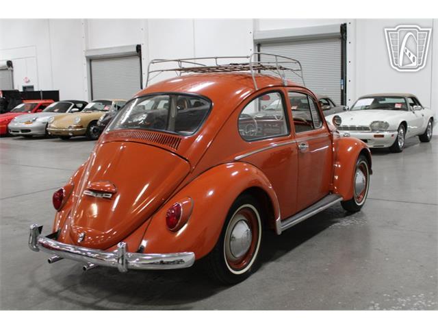 1965 Volkswagen Beetle (CC-2070657) for sale in Las Vegas, Nevada