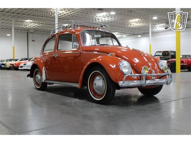 1965 Volkswagen Beetle (CC-2070657) for sale in Las Vegas, Nevada