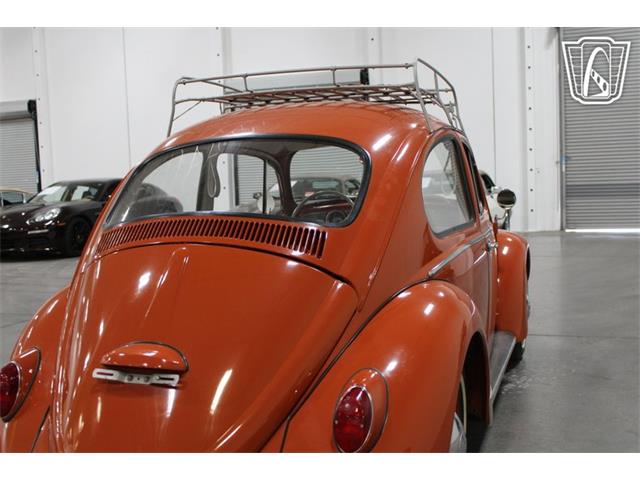 1965 Volkswagen Beetle (CC-2070657) for sale in Las Vegas, Nevada