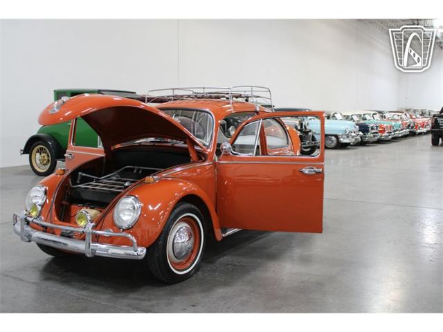 1965 Volkswagen Beetle (CC-2070657) for sale in Las Vegas, Nevada