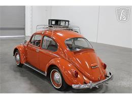 1965 Volkswagen Beetle (CC-2070657) for sale in Las Vegas, Nevada