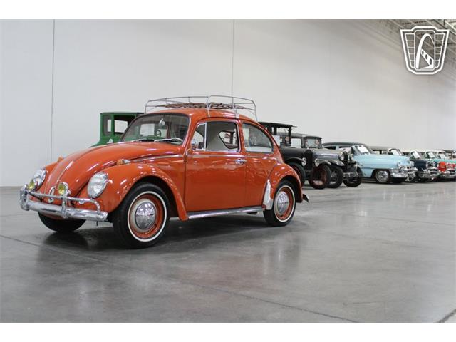 1965 Volkswagen Beetle (CC-2070657) for sale in Las Vegas, Nevada