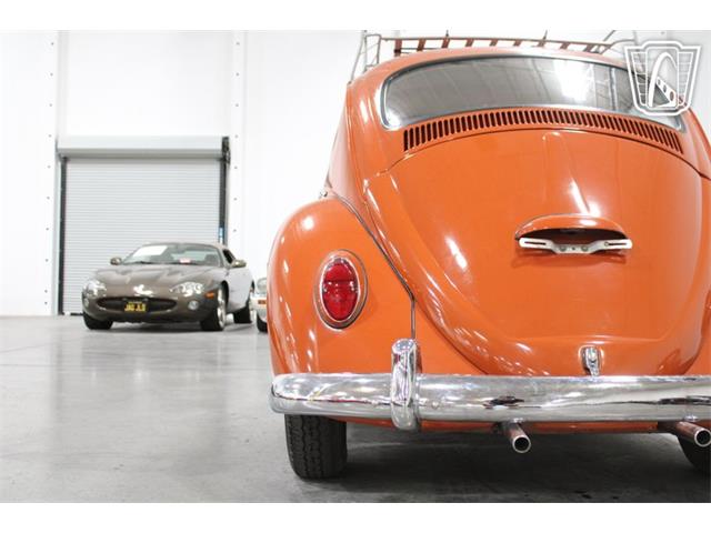 1965 Volkswagen Beetle (CC-2070657) for sale in Las Vegas, Nevada