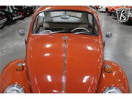 1965 Volkswagen Beetle (CC-2070657) for sale in Las Vegas, Nevada