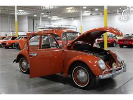 1965 Volkswagen Beetle (CC-2070657) for sale in Las Vegas, Nevada