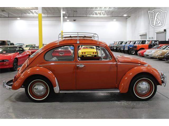 1965 Volkswagen Beetle (CC-2070657) for sale in Las Vegas, Nevada