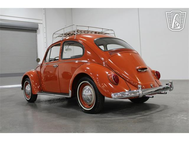 1965 Volkswagen Beetle (CC-2070657) for sale in Las Vegas, Nevada
