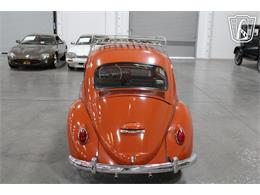1965 Volkswagen Beetle (CC-2070657) for sale in Las Vegas, Nevada