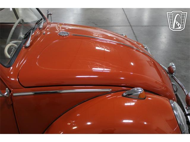 1965 Volkswagen Beetle (CC-2070657) for sale in Las Vegas, Nevada