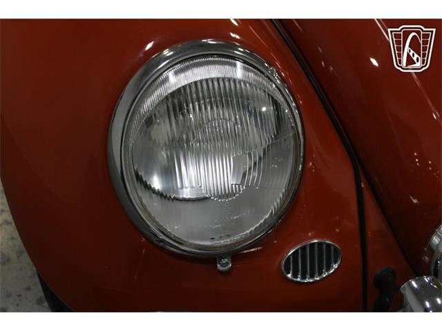 1965 Volkswagen Beetle (CC-2070657) for sale in Las Vegas, Nevada